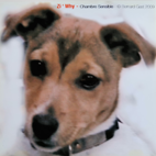 Limited Edition Sensitive Rooms - 2009 - Zi' Why - Bernard Gast
